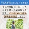 「【ワゴンセール】「クラシエ」漢方半夏厚朴湯エキス顆粒 45包 クラシエ薬品 のどのつかえ 不安神経症【第2類医薬品】」の商品サムネイル画像5枚目