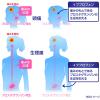 「イブA錠 60錠 エスエス製薬 ★控除★ 生理痛 頭痛 歯痛 咽喉痛 関節痛 筋肉痛 神経痛 腰痛 肩こり痛【指定第2類医薬品】」の商品サムネイル画像3枚目