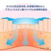 「サトウ口内軟膏 8g 佐藤製薬　塗り薬 口内炎薬 口内炎 舌炎【第3類医薬品】」の商品サムネイル画像7枚目