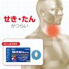 「ストナ去たんカプセル 18カプセル 佐藤製薬★控除★  ストナ 鎮咳去痰薬 たん たんのからむせき【第2類医薬品】」の商品サムネイル画像6枚目