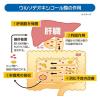 「レバウルソ 180錠 佐藤製薬 滋養強壮 虚弱体質 肉体疲労 病中病後 食欲不振 栄養障害 発熱性消耗性疾患 妊娠授乳期 栄養補給【第3類医薬品】」の商品サムネイル画像5枚目