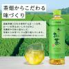 「伊藤園 おーいお茶 190g 1セット（6缶） 小容量 お茶 【接客】【来客】【会議】」の商品サムネイル画像6枚目