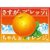 サントリー 朝摘みオレンジ＆サントリー天然水（冷凍兼用ボトル）540ml 1セット（6本）