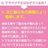 「スミスリンL シャンプータイプ 80ml 大日本除虫菊　専用くし付き シラミ 頭ジラミ 毛ジラミ 駆除【第2類医薬品】」の商品サムネイル画像7枚目