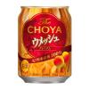 「缶チューハイ　酎ハイ　梅酒サワー　チョーヤ　ウメッシュ　プレーンソーダ　250ml　1ケース(24本)」の商品サムネイル画像2枚目