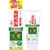 「歯磨き粉 生葉（しょうよう） 無研磨タイプ 歯槽膿漏を防ぐ 薬用ハミガキ ハーブミント味 95g 小林製薬」の商品サムネイル画像1枚目