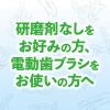 「歯磨き粉 生葉（しょうよう） 無研磨タイプ 歯槽膿漏を防ぐ 薬用ハミガキ ハーブミント味 95g 小林製薬」の商品サムネイル画像5枚目