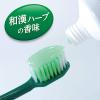 「歯磨き粉 生葉（しょうよう） 無研磨タイプ 歯槽膿漏を防ぐ 薬用ハミガキ ハーブミント味 95g 小林製薬」の商品サムネイル画像7枚目