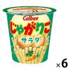 「カルビー じゃがりこ サラダ　6個　おつまみ　スナック菓子」の商品サムネイル画像1枚目