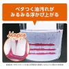 「CHARMY Magica（チャーミーマジカ） 速乾＋除菌プロフェッショナル  微香フレッシュレモン 詰め替え 3.8L 1ケース（3個） 食器用洗剤 ライオン」の商品サムネイル画像6枚目