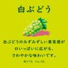「チューハイ　ほろよい　白ぶどう　350ml×6本　缶チューハイ　サワー　酎ハイ　サントリー」の商品サムネイル画像4枚目