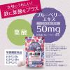 「かんでおいしいチュアブルサプリ 鉄+葉酸 30日分 120粒 オリヒロ サプリメント」の商品サムネイル画像5枚目