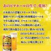「(数量限定)ビール 銀座ライオン ビヤホール 缶 350ml 2ケース(48本)」の商品サムネイル画像6枚目