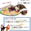 「猫壱 キャッチミー・イフユーキャン2 猫と音符 電動おもちゃ 2個」の商品サムネイル画像7枚目