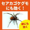 クモがいなくなるスプレー 450mL 殺虫 スプレー 蜘蛛の巣 蜘蛛よけ 対策 ジェットタイプ 屋内使用可 1本 大日本除虫菊 キンチョウ