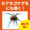 「クモがいなくなるスプレー 450mL 殺虫 スプレー クモ ジェットタイプ 屋内使用可 1本 KINCHO キンチョー」の商品サムネイル画像5枚目