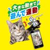 「CAT TOY 猫用じゃらし ふわふわトンボ 3個 ペティオ」の商品サムネイル画像4枚目