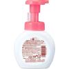 「キレイキレイ 薬用泡ハンドソープ フルーツミックスの香り 本体 250ml 1セット（2個） 【泡タイプ】 ライオン」の商品サムネイル画像2枚目