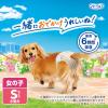 「マナーウェア 女の子用 Sサイズ 4種のデザインパック 4枚 2袋 ペット用 ユニ・チャーム」の商品サムネイル画像4枚目