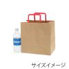 「シモジマ 手提げ紙袋　25チャームバッグ　平手 Ｅ判 未晒無地　赤紐 003274024 1袋（50枚入）」の商品サムネイル画像5枚目