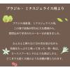 「【ワゴンセール】【スティック】AGF ちょっと贅沢な珈琲店 EVERBLACK ブラック ブラジル ミナスジェライス州より 1箱（9本入）（わけあり品）」の商品サムネイル画像4枚目