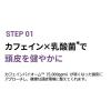「moremo モレモ カフェインバイオームシャンプー オイリースカルプ ライムハーブ 500ml 2個 ワンダーライン 韓国コスメ」の商品サムネイル画像5枚目