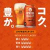 「クラフトビール SPRING VALLEY（スプリングバレー） 豊潤 496 500ml 1パック（6本）」の商品サムネイル画像6枚目