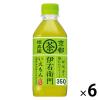 「【ワゴンセール】サントリー 伊右衛門 350ml 1セット（6本）（わけあり品）」の商品サムネイル画像1枚目