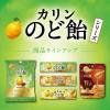 「のど飴 キャンディ カリンのど飴 贅沢マヌカハニー ミニパウチ 25g 1個」の商品サムネイル画像5枚目