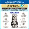 「i CARE（アイケア）腸内環境ケア 成猫用 フィッシュ味 国産 1.2kg（300g×4袋）1袋 アイシア キャットフード」の商品サムネイル画像6枚目