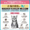 「i CARE（アイケア）腸内環境ケア 12ケ月頃までの子ねこ用 フィッシュ＆チキン味 国産 1.2kg（300g×4袋）3袋 アイシア キャットフード」の商品サムネイル画像7枚目