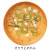 「【ワゴンセール】インスタント味噌汁　FDタニタ食堂監修　アソート　1袋(4食入)　マルコメ（わけあり品）」の商品サムネイル画像5枚目