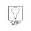 「岩崎電気 アイ R形赤外線電球 110V 250W E26口金 IR100110V250WRH 1個」の商品サムネイル画像2枚目