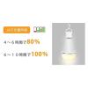 「かりはな製作所 蓄電型LED電球 防災電球 電球色 KS-01OR 1個」の商品サムネイル画像8枚目