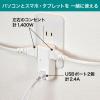 「朝日電器 耐雷USBタップ2個口2ポート2.4A UA-222SL 1個」の商品サムネイル画像3枚目