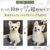 「HUGG グルーミング ドライ シャンプー 犬・猫用 本体 国産 300ml 1本 アルカス」の商品サムネイル画像7枚目
