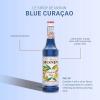 「業務用 割り材 モナン ブルーキュラソウ・シロップ 700ml 6本 MONIN 割材 ドリンクベース フレーバーシロップ」の商品サムネイル画像3枚目
