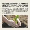「こぐまちゃん 三つ仕切皿 小 194×28mm J25KO 1枚 メラミン食器 食洗機可 給食 日本製 国際化工」の商品サムネイル画像6枚目