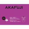 「神明 あかふじ 今日のごはん 小分け鮮度パック 北海道産ゆめぴりか 無洗米（1合×10） 1袋 米 お米」の商品サムネイル画像4枚目