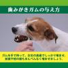 「ペットキッス 食後の歯みがきガム 小型犬用 国産 135g（約24本）10袋 ドッグフード 犬 おやつ 歯磨き まとめ買い」の商品サムネイル画像7枚目