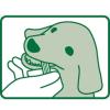 「ペットキッス 食後の歯みがきガム 子犬用 国産 100本（10本×10袋）ドッグフード 犬 おやつ 歯磨き」の商品サムネイル画像6枚目