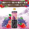 「【お買い得セット】ミツカン業務用フルーティス２本セット（まろやかりんご酢・黒酢ぶどう＆ベリーミックス）1000ml 6倍濃縮」の商品サムネイル画像5枚目