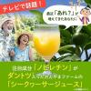 「【ワゴンセール】ケレス沖縄 大宜味村産青切シークヮーサージュース（100％）業務用1.48L 2本」の商品サムネイル画像2枚目