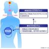 「イブクイック頭痛薬 60錠 2箱セット エスエス製薬 ★控除★ 生理痛 頭痛 歯痛 咽喉痛 関節痛 筋肉痛 神経痛 腰痛 肩こり痛【指定第2類医薬品】」の商品サムネイル画像2枚目