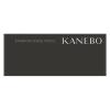 「KANEBO（カネボウ） アイブロウシェイドペンシル EP2 Shade Brown レフィル」の商品サムネイル画像2枚目