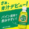「【ワゴンセール】伊藤園 ごくごく毎日1杯の青汁パインmix 350g 1箱（24本入）（わけあり品）」の商品サムネイル画像3枚目