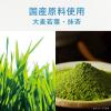 「【ワゴンセール】伊藤園 ごくごく毎日1杯の青汁パインmix 350g 1箱（24本入）（わけあり品）」の商品サムネイル画像4枚目