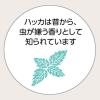 「お肌の虫よけ プレシャワーDF ミスト 虫除け スプレー プラスハーブ  100mL 1セット（3本入）KINCHO キンチョー」の商品サムネイル画像6枚目