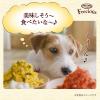 「グラン・デリ フレシャス 13歳以上用 チキン＆ビーフ入り  国産 4kg（500g×8袋入）ドッグフード」の商品サムネイル画像3枚目