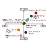 「【ワゴンセール】【コーヒー豆】小川珈琲店 有機珈琲グアテマラブレンド 豆 1袋（140g）（わけあり品）」の商品サムネイル画像4枚目